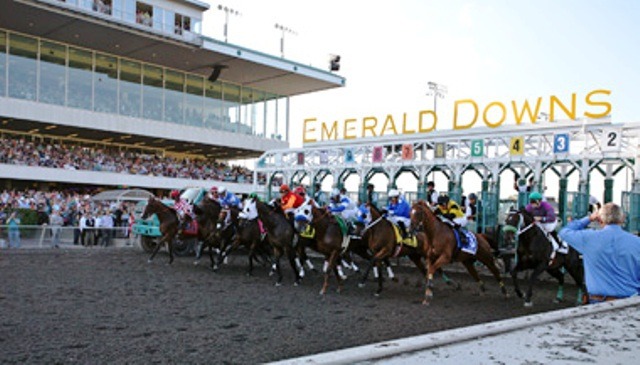 Off and running: The field breaks for the Longacres Mile last August