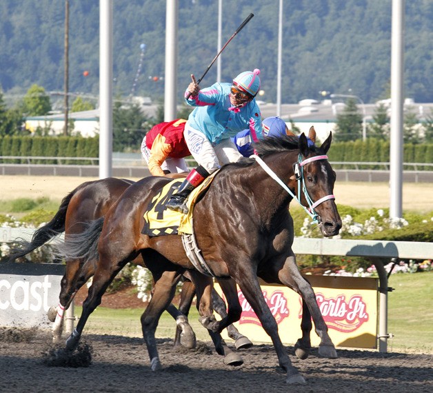 Noosa Beach is looking to find his winning home this meet. Gallyn Mitchell rode Noosa Beach to victory in last year's Mt. Rainier Handicap.