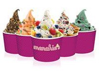 Menchie's has come to Auburn