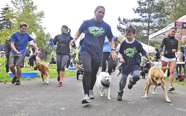 Dogs and their owners start the Rover Romp walk/run during last year’s Barktoberfest at Roegner Park. The Auburn Valley Humane Society fundraiser returns Oct. 10.