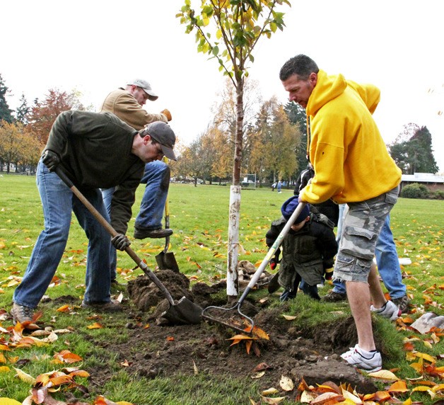 The City of Auburn and Boy Scout Elliott Pelfrey led a tree planting party at Les Gove Park last Saturday. Pelfrey