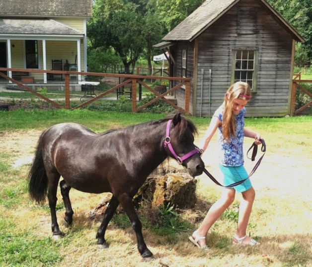 Kids will get an opportunity to care for animals at historic Mary Olson Farm during the week-long Living History Camp in August.