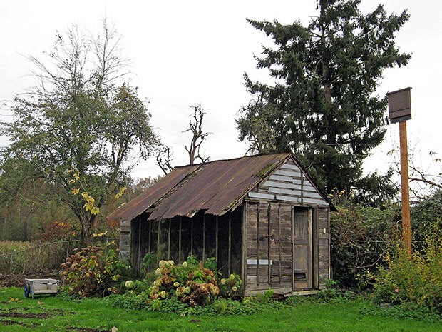 The Acosta garden shed is a historic part of Neely Mansion