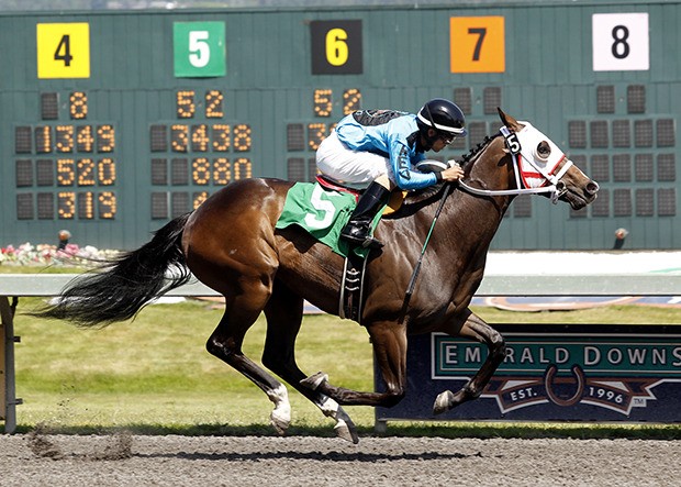 6-1 Trackattacker: R.E.V. Racing's Washington-bred Trackattacker looks to complete a perfect season Sunday in the $65