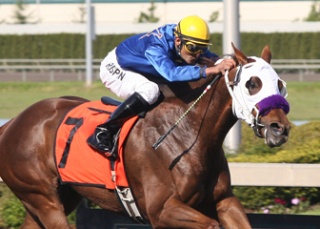 Clair Annette and jockey Joe Crispin score a decisive victory in the Hastings Park Handicap at Emerald Downs.