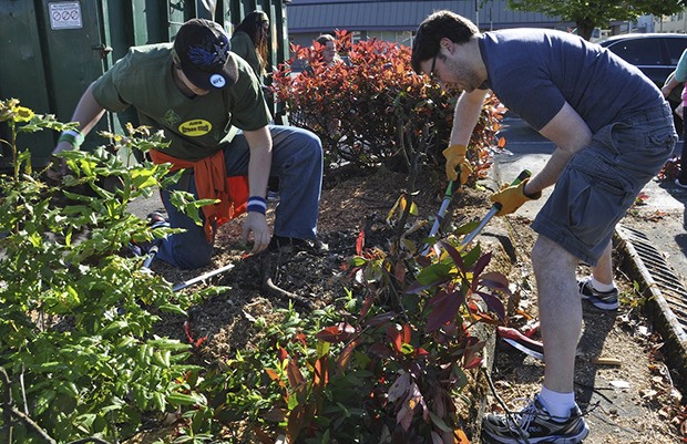 Volunteers prune plants on Main Street during a past Clean Sweep outing. The event returns April 25.