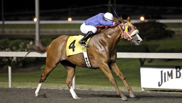 Stephanie Plum and jockey Leonel Camacho-Flores in full flight for the wire Friday in the $14