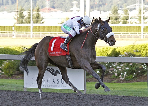 Stryker Phd and jockey Debbie Hoonan cruise to victory in the $50