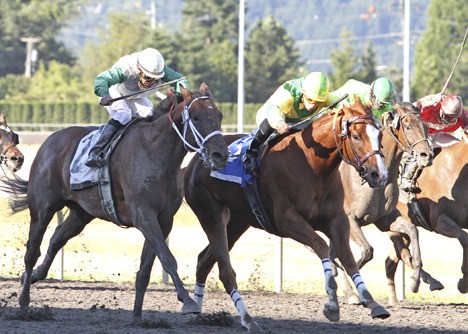 Newfound Man (inside) holds off Posse Power in the $50