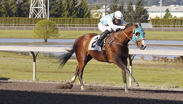 Mister Breeze and jockey Rocco Bowen roll to a $54 upset in Saturday's feature race for trainer/co-owner Alan Bozell.