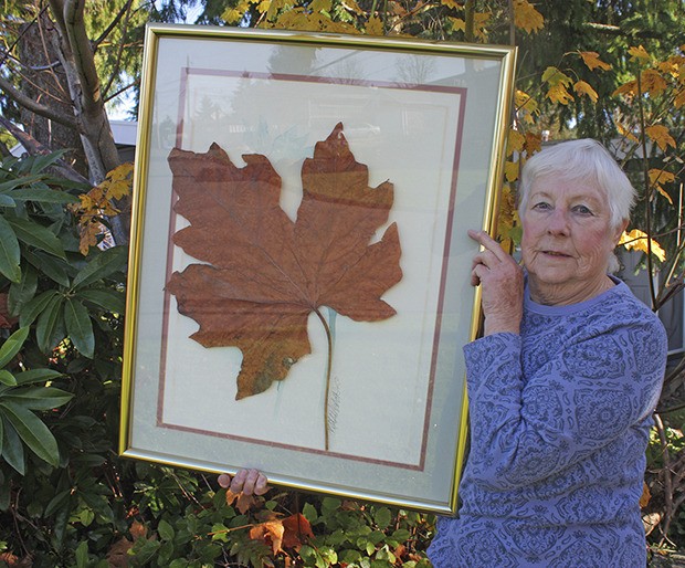 Auburn's Lucile Shaw shows the big maple leaf her front tree produced. According to Guinness World Records