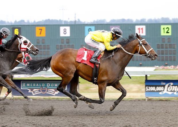 8-year-old Washington-bred Ugottbcatty and Leslie Mawing are the winning team in the feature race at Emerald Downs.