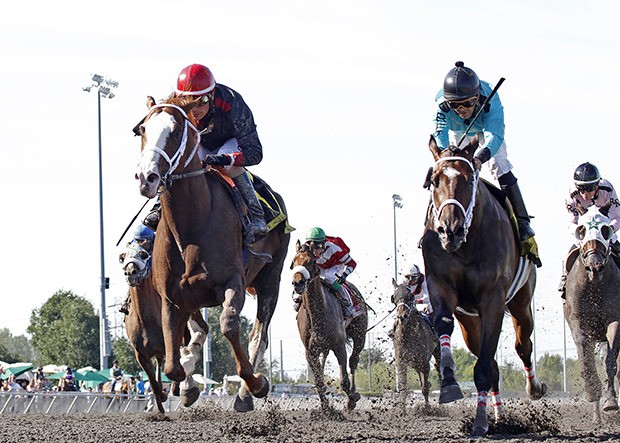 Barkley (left with white face) outfinishes Mach One Rules in the $50