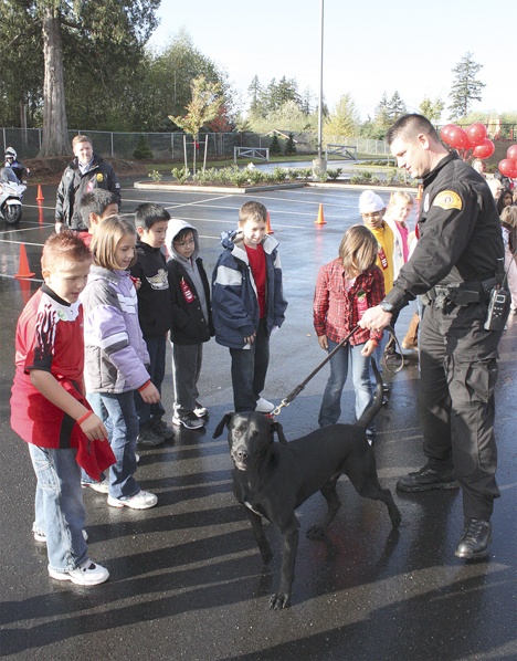 Students greet a K-9 unit from the Washington State Highway Patrol at the school’s DEA Red Ribbon Anti-Drug Campaign celebration.