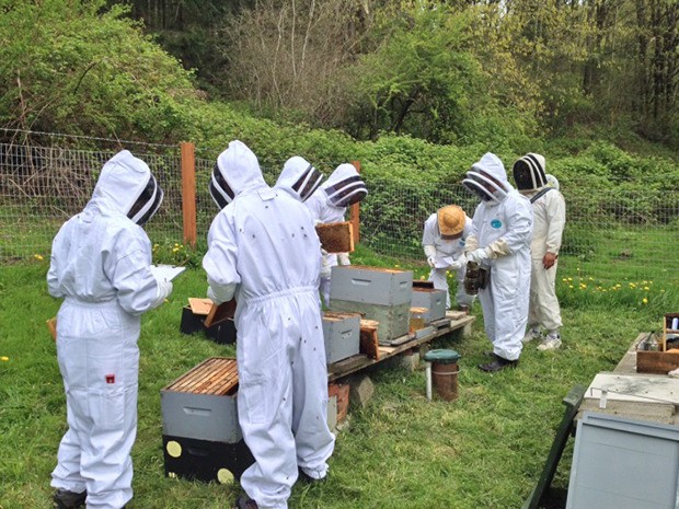 Beekeepers donated 11 hive boxes