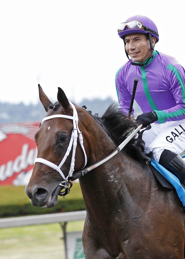 Mike Man's Gold and jockey Javier Matias