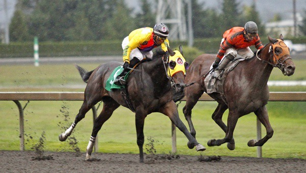 Patches Pal (nearest rail) and jockey Ronald Richard rally to victory in the $22