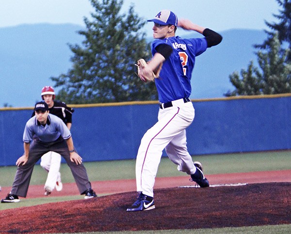 Junior Justin Marsden on the mound for the Lions.