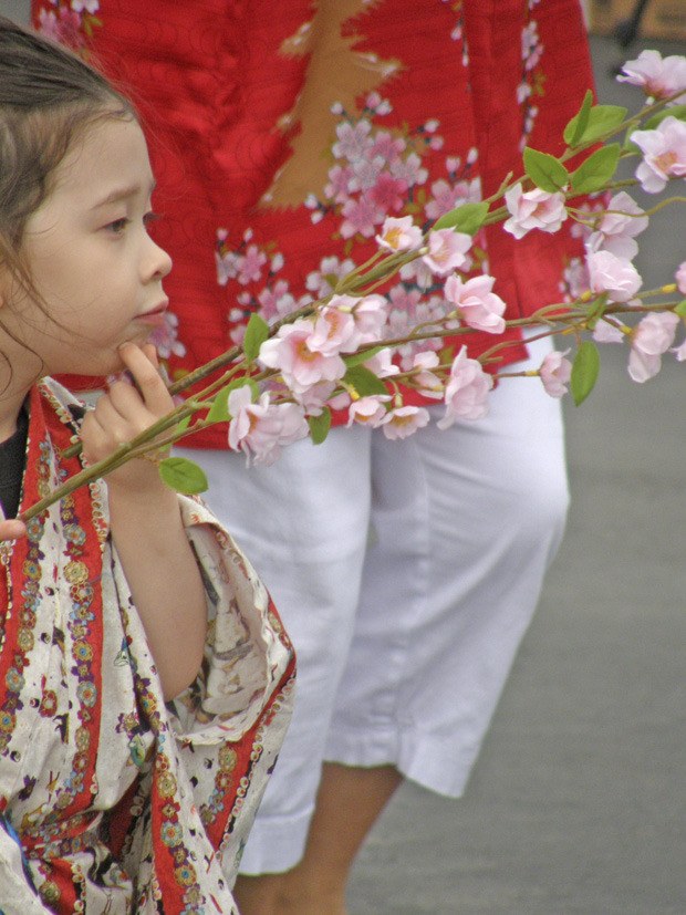 A girl holds cherry blossoms during ceremonies at the annual Bon Odori Festival at the White River Buddhist Temple last Saturday. More than 1