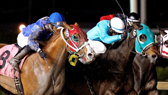 Songandabullet (No. 8) and jockey David G. Lopez rally to dead-heat with Parkers Bluff for the win in Friday's feature race for 3-year-olds and up at Emerald Downs.