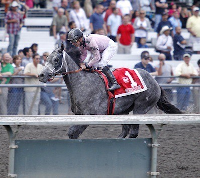 Worldventurer and jockey Julien Couton cruise to a seven-length victory in the $65