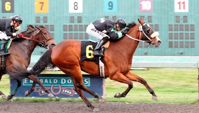 Jadey Baby ($6.60) rallies under Juan Gutierrez to win the feature race for fillies and mares at Emerald Downs. It was one of four wins Saturday for Emerald Downs' leading rider.