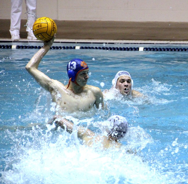 Auburn Mountainview's Stephen Creed fires on goal during the Lions' match against Curtis.