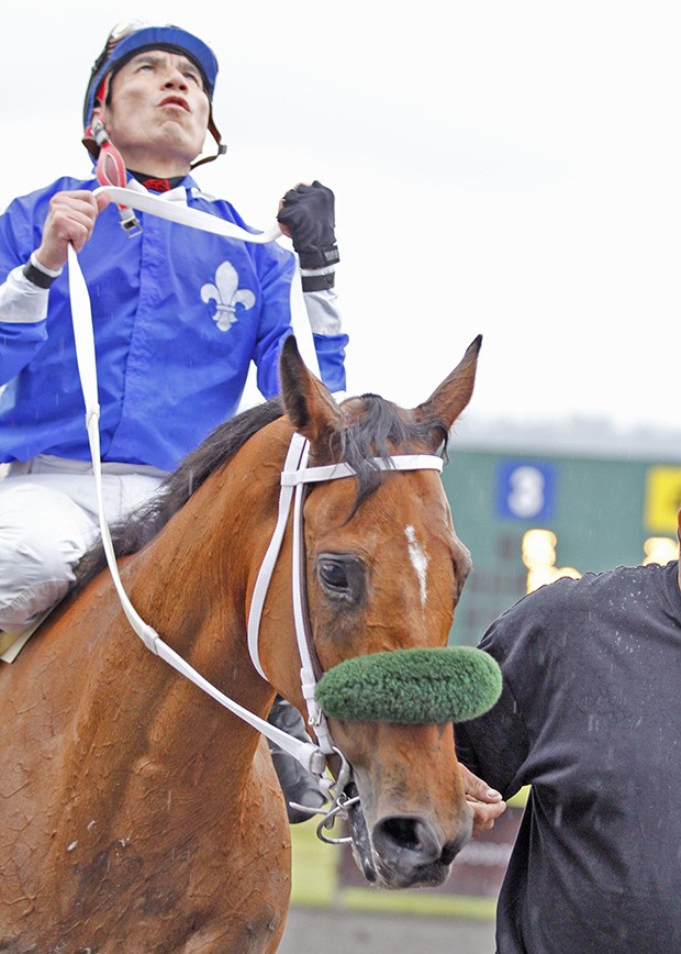 Winning Machine and jockey Javier Matias attempt a title defense Sunday in the $50