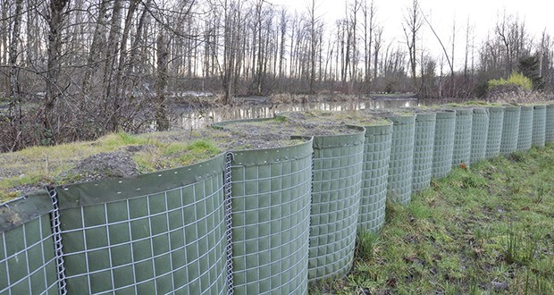 Crews will begin removing the temporary flood protection barrier – HESCOs – that line Pacific Park along the White River.