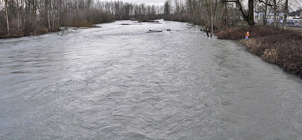 The record-breaking wet season has swollen the White River as it high banks suggest. The flood-prone river has home owners and officials on alert as King County continues work to set back the levee.