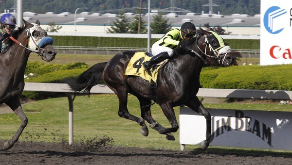 El Gran Bebe makes it three wins at the meet with a nose victory over Uzziah in the feature race. Jockey David G. Lopez was aboard for his third of four wins Saturday.