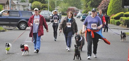 The popular Dog Trot