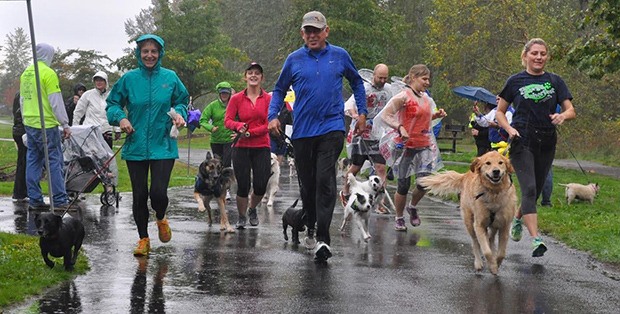 Pet owners and their furry friends take to the Rover Romp benefit run/walk at rainy Roegner Park on Saturday