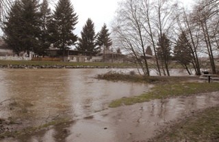 The swollen Green River at Issac Evans Park rose above its banks during recent winter flooding. Repairs at Howard Hanson Dam might create an increased flood risk to portions of Auburn.