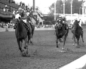 Military Hawk and jockey Luis Jauregui win the 1991 Seattle Handicap over Erin's Lord as horses trained by Larry Ross finished first and second.