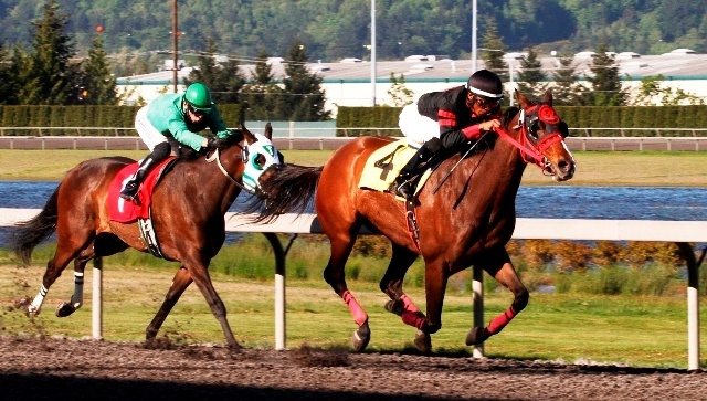 Champali Lace edges clear of Clemens Brook in the feature race for fillies and mares at Emerald Downs.