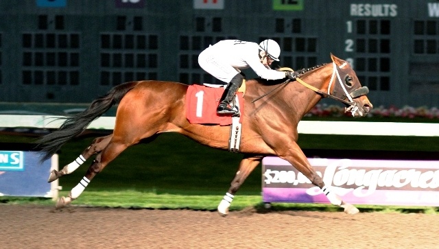 Max Cooper and jockey Juan Gutierrez prevail in the feature race at Emerald Downs on Friday. Jeff Metz is the trainer for owner Constance Barnes.