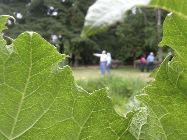 Soos Creek Botanical Garden and Heritage Center provides a special experience of strolling amongst a variety of inspirational and mature gardens