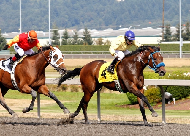 Fist Full of Green in the third race is the record 71st victory of the season for apprentice jockey Eliska Kubinova at Emerald Downs.