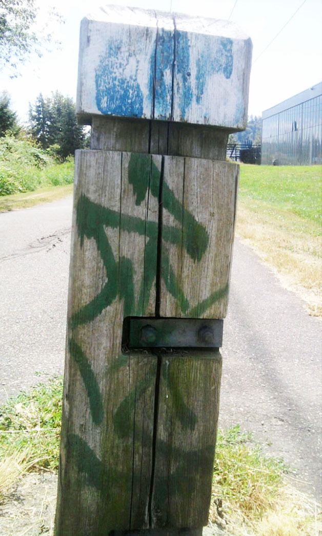 Gang-style graffiti was discovered throughout Pacific last Sunday.