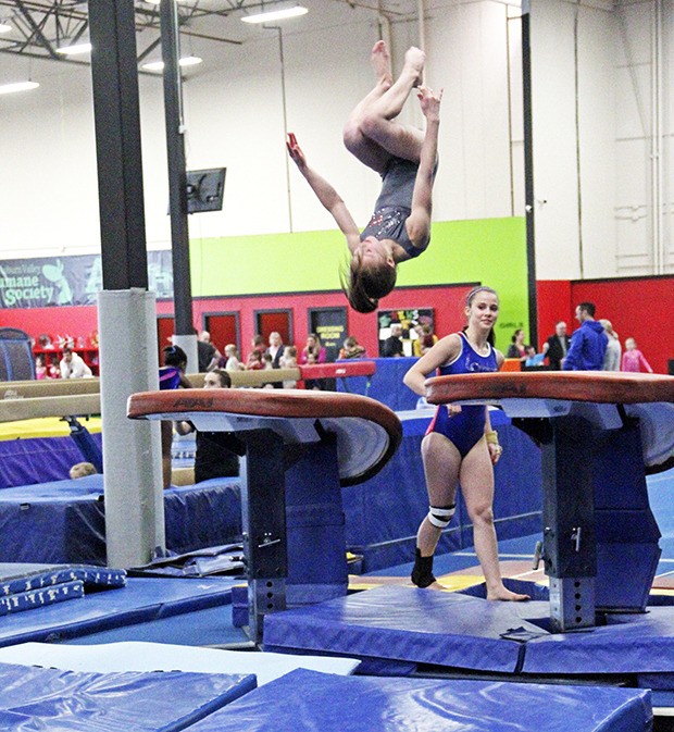 Auburn Gymnastics dominates at state meet Auburn Reporter