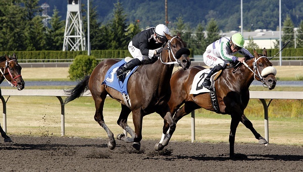 Jebrica (black silks) outfinishes Mike Man's Gold in the $18