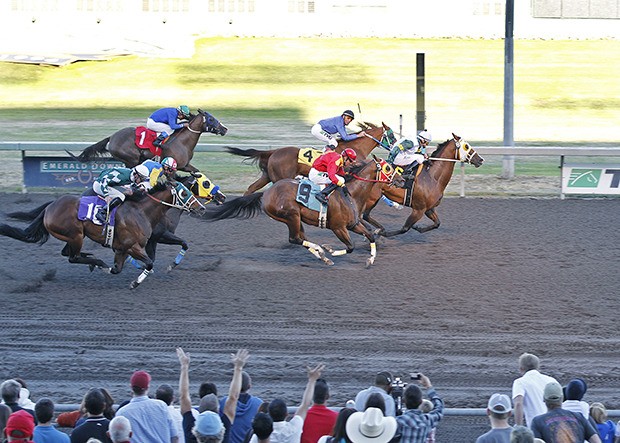 A Royal Dervish prevails in the 2012 running of the Bank of America Emerald Downs Championship Challenge at 440 yards. Emerald Downs presents the third running of the prestigious Quarter Horse race on Sunday.