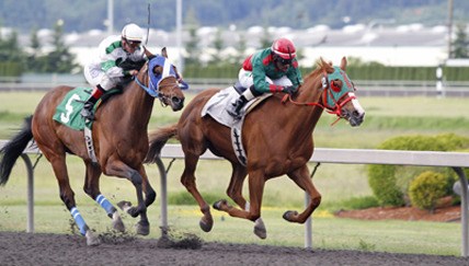 Orlando Xpress (No. 2) and newcomer jockey Ronald Richard team up in Friday's sixth race.