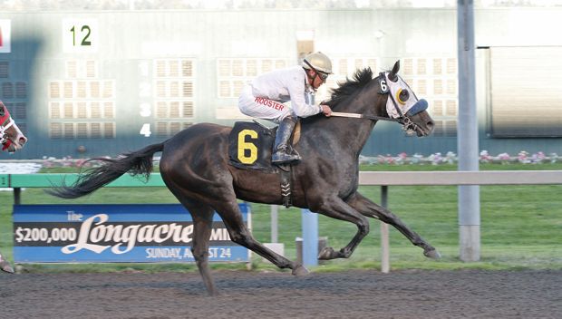 Surfliner and jockey Javier Matias rally for a $34.80 upset Sunday in the $12