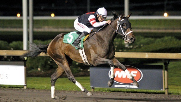 Say Say and jockey Javier Matias were the winning team Friday in the feature race for fillies and mares.