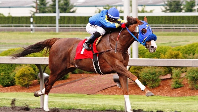 Kama'aina Thoroughbreds Sis's Sis in full flight for the wire in the Rising Star Stables Purse for older fillies and mares at Emerald Downs.