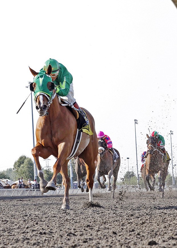 Lady Rosberg and Gallyn Mitchell romp in the $50