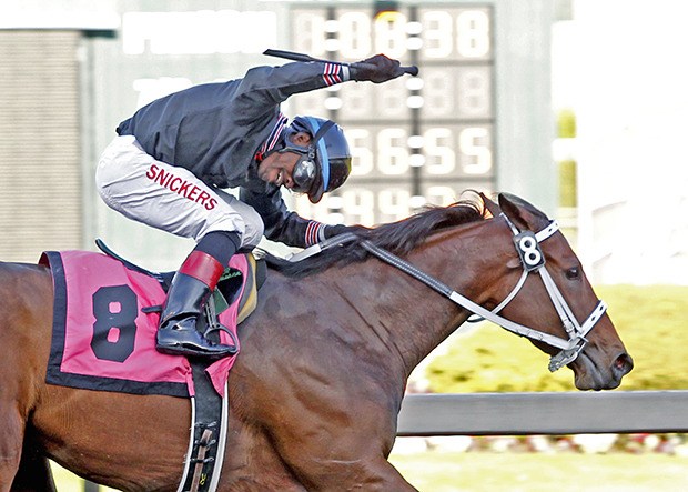 Stopshoppingdebbie – a triple stakes winner at the meet and undefeated in eight lifetime starts – is a top contender for 2014 Emerald Downs' Horse of the Meeting.