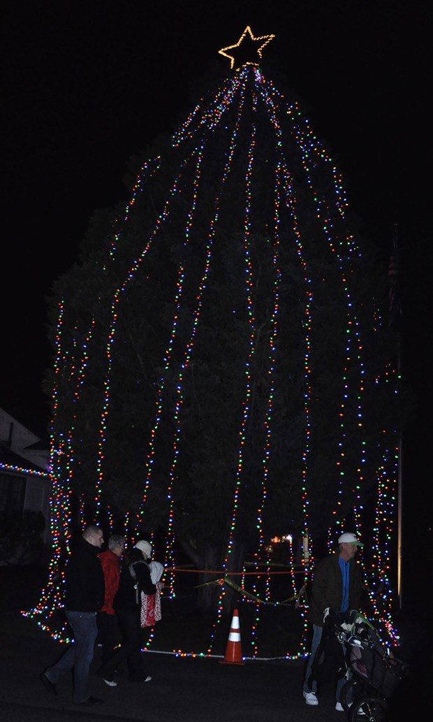 The lights come on the official City of Pacific Christmas tree last Friday night.